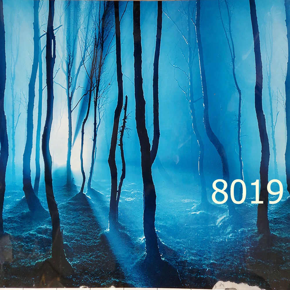 Decal dán bể cá không có keo, kích thước 50 x 100 cm