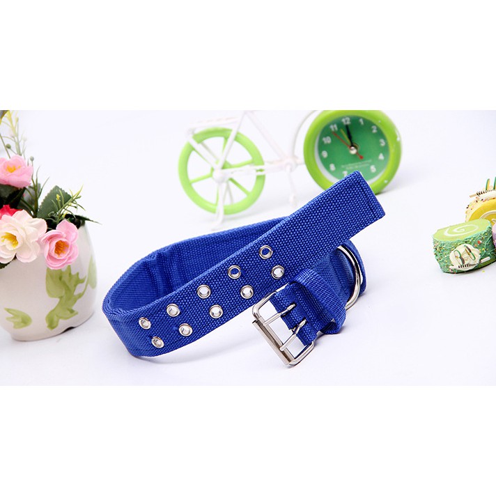 Vòng Cổ Tạp Dề Cho Chó Lớn