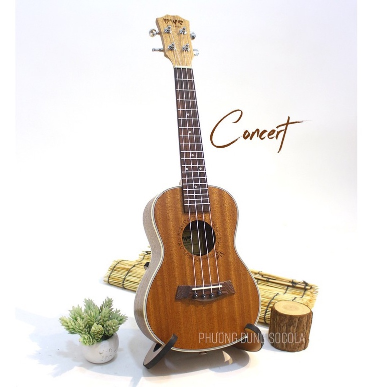 Đàn Ukulele Gỗ chính hãng BWS size Concert - Có viền Body