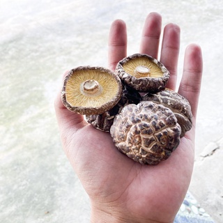 100 Gram Nấm Đông Cô Khô ( Hàng nhập khẩu trực tiếp )