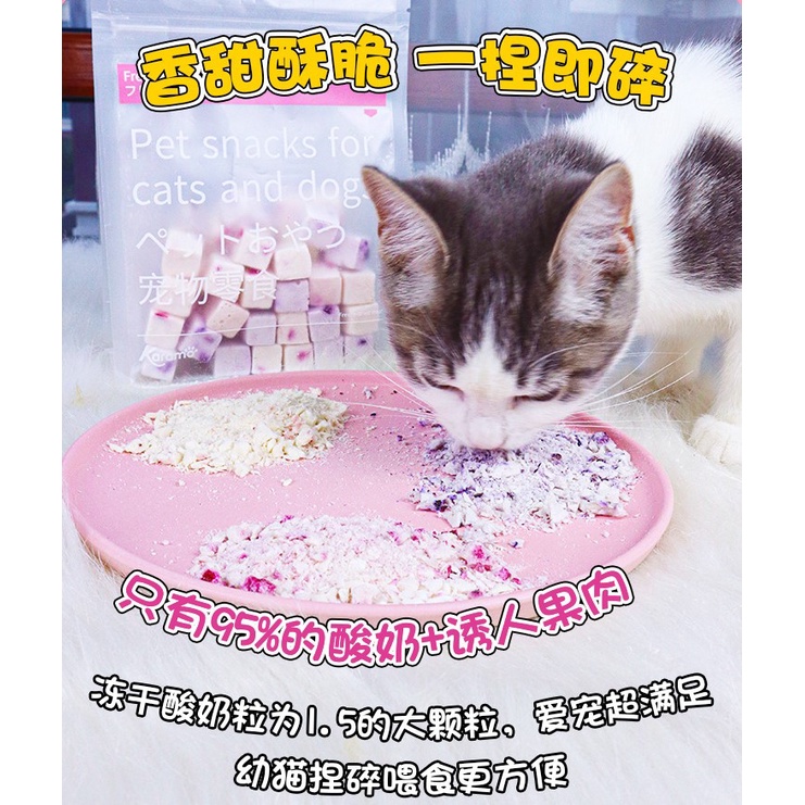 Sữa chua trái cây sấy khô lạnh thức ăn dinh dưỡng cho chó mèo hamster, sóc, thỏ, bọ