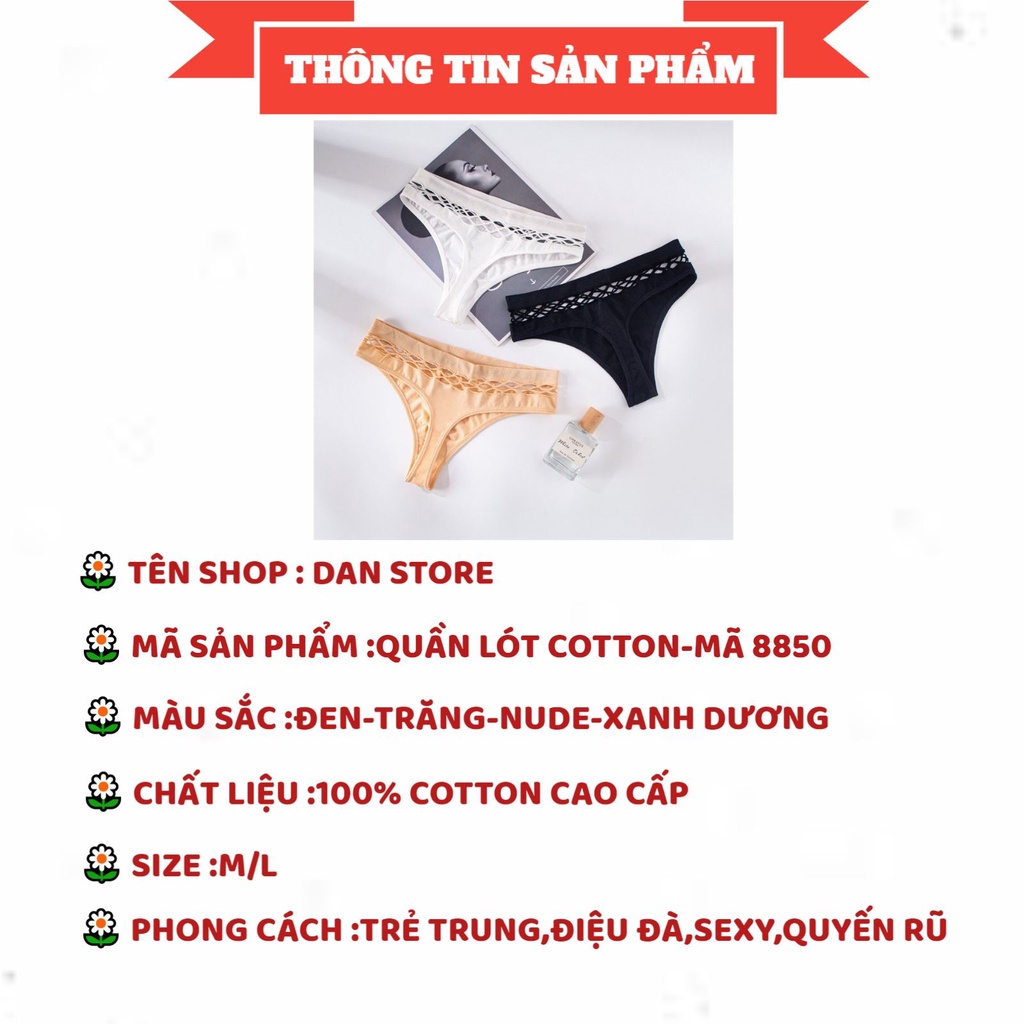 Quần Lót Lọt Khe - Quần Lọt Khe Nữ cotton thiết kế viền cắt ô vuông Sexy điệu đà quyến rũ DAN STORE MÃ 8850