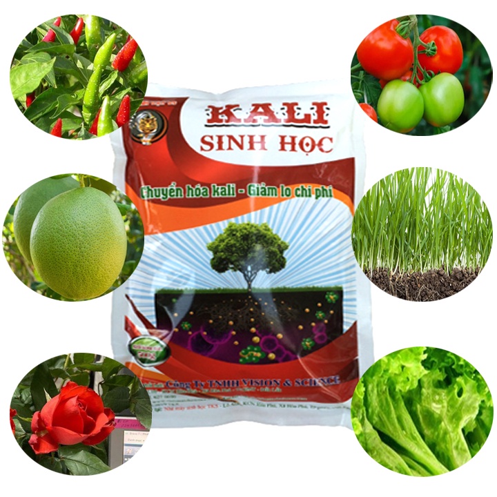 KALI SINH HỌC: Chuyển Hóa Kali, Cải Tạo Đất Cây Trồng