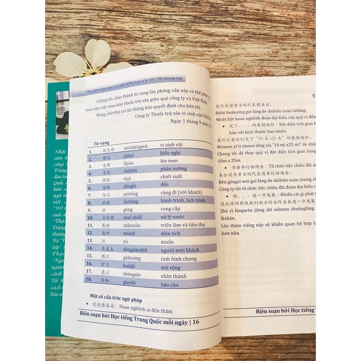 Sách - Thực hành soạn thảo 116 hợp đồng kinh tế & thư tín thương mại song ngữ Trung Việt - Có phiên âm + DVD Tài liệu