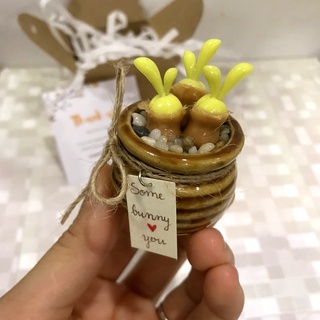 Chậu sen đá tai thỏ xanh lá cây, sen đá đất sét handmade