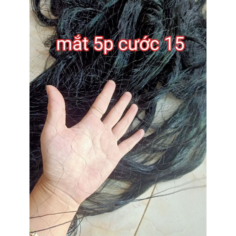 Lưới bẫy chim tổng hợp 5p cao 5m hàng cao cấp