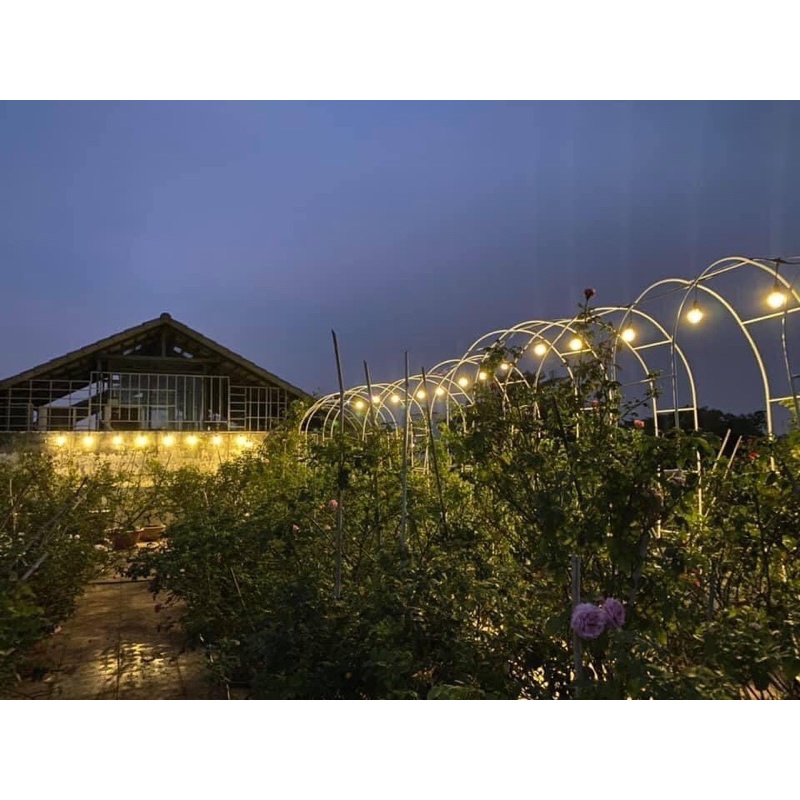 Khung vòm dành cho hồng leo