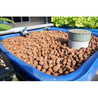Sỏi nhẹ (Đất nung) trồng cây 3size -2kg