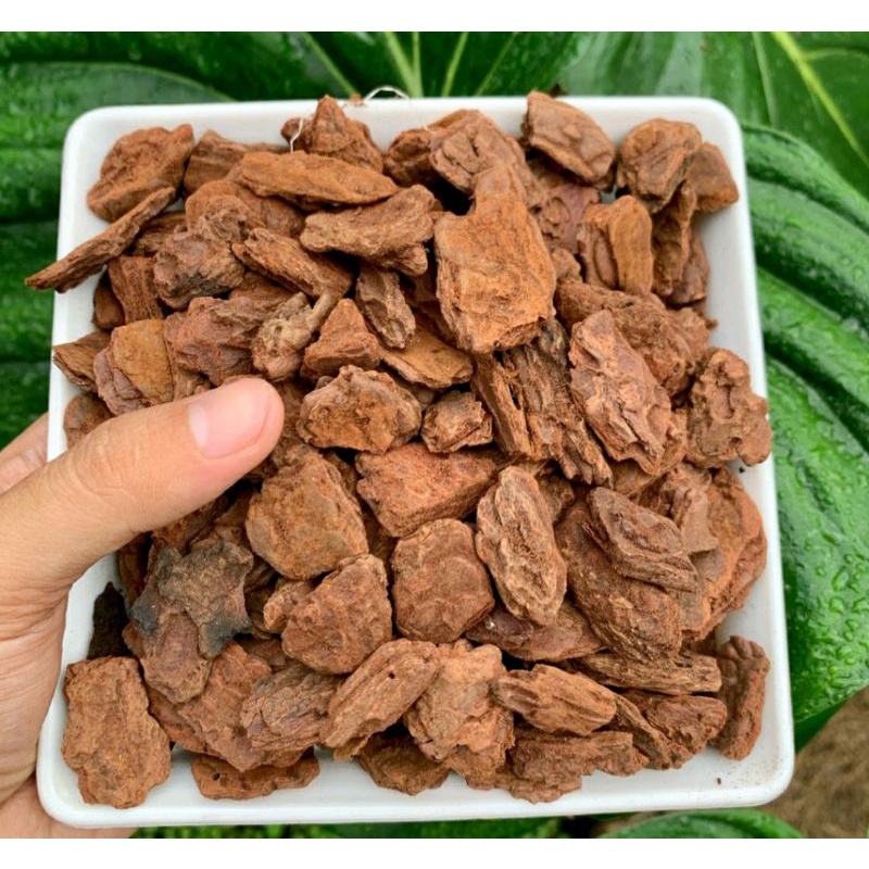 1Kg Vỏ Thông  Trồng Lan &Kiểng Lá