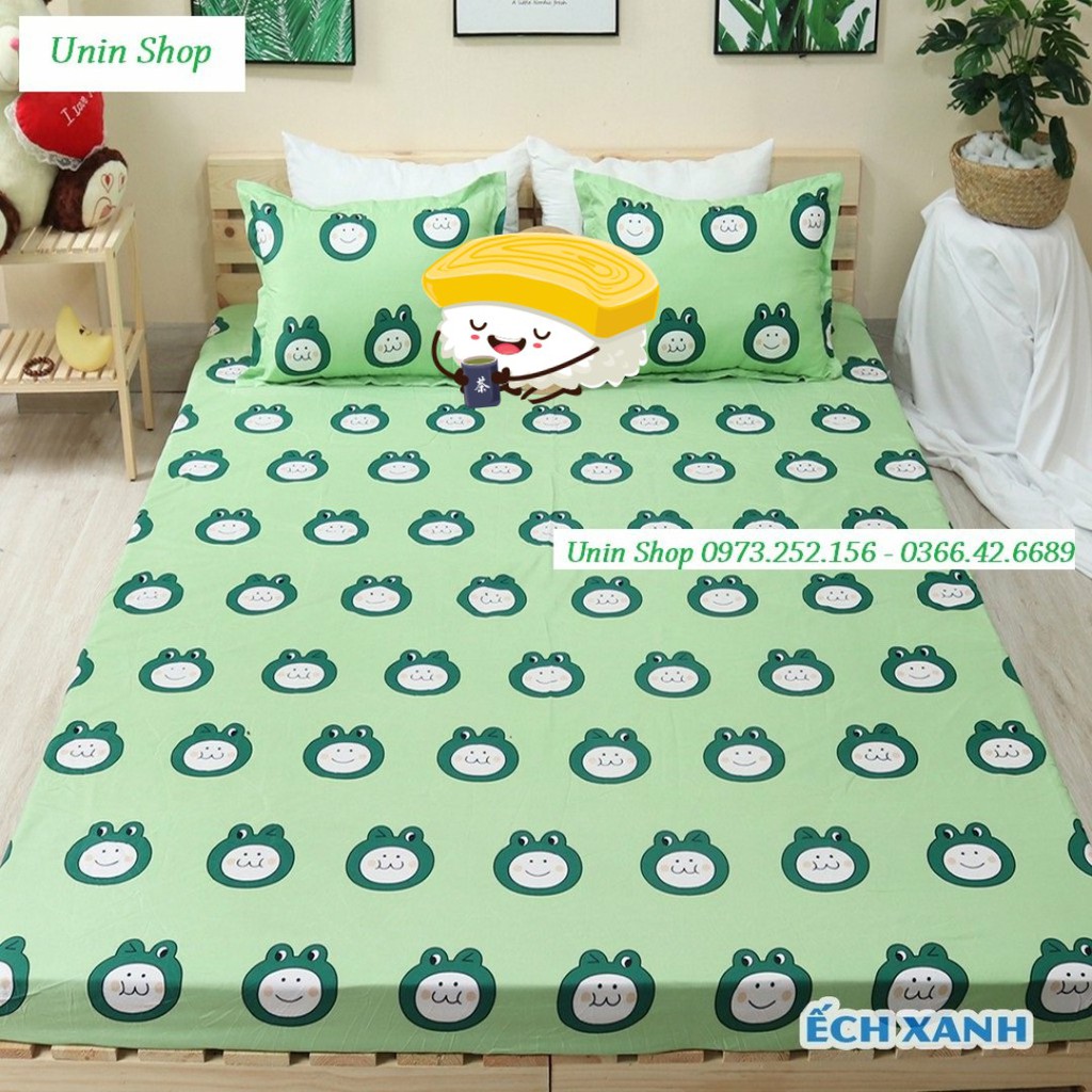 (Thanh lý) Bộ 3 món ga kèm 2 áo gối m6/m8/2m2 drap bo chun bọc nệm mẫu Gấu vàng poly cotton