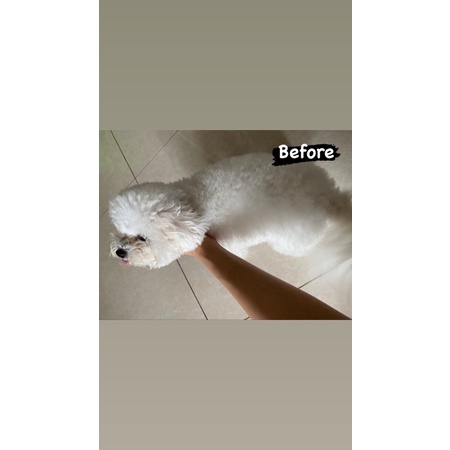 Sữa tắm thú cưng dành cho lông trắng