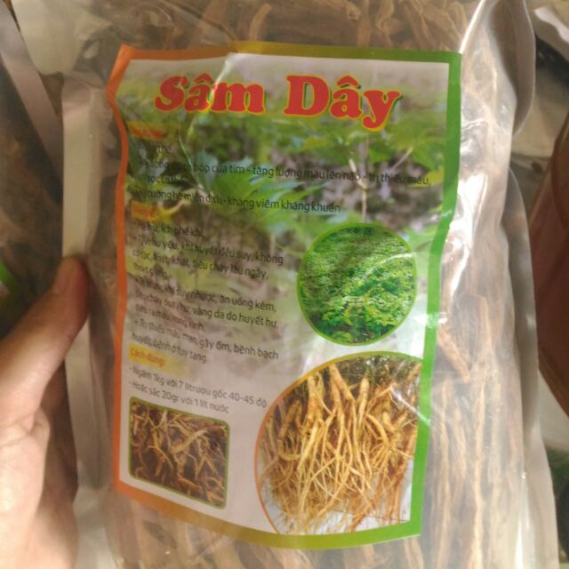 SẤM DÂY NGỌC LINH LOẠI TO