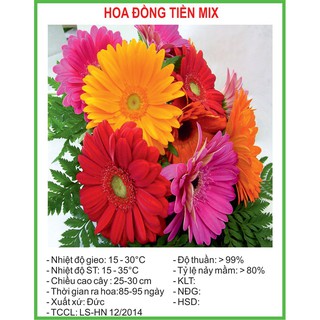 Hạt Giống Hoa đồng tiền Mix 10 Hạt/ Gói