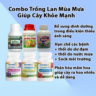 Bộ phân bón chăm lan mùa mưa