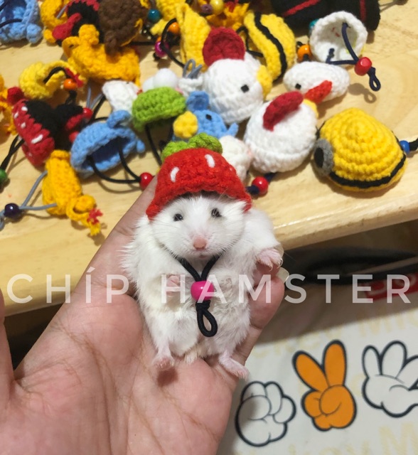 Nón len chụp ảnh ✨