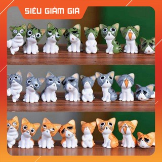 Phụ kiện cây cảnh