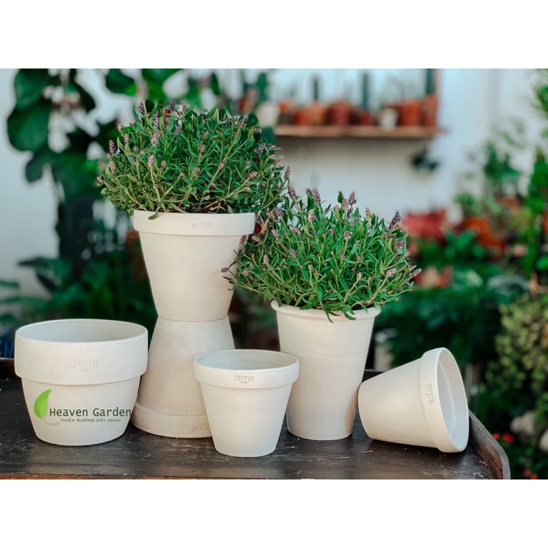 Chậu đất nung tròn gờ lớn envie vintage