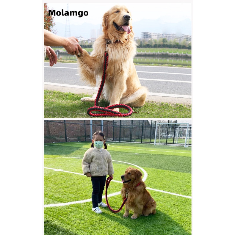 Dây Buộc Thú Cưng Dày Chắc Chắn Dài 1.2m / 1.5m