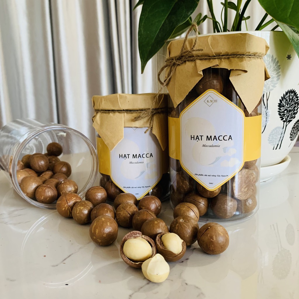 Hạt Macca nứt vỏ sạch, Hạt Macca DakLak Cao cấp - Kachi Tây Nguyên