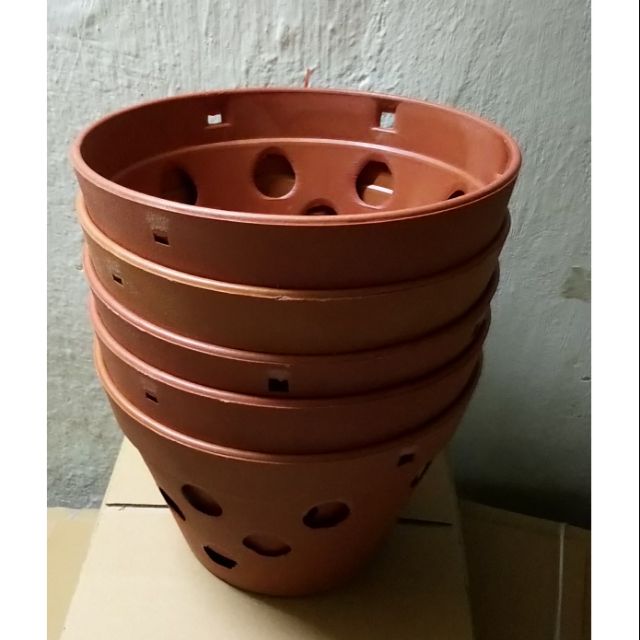 Combo 5 chậu lan giả đất phi 21