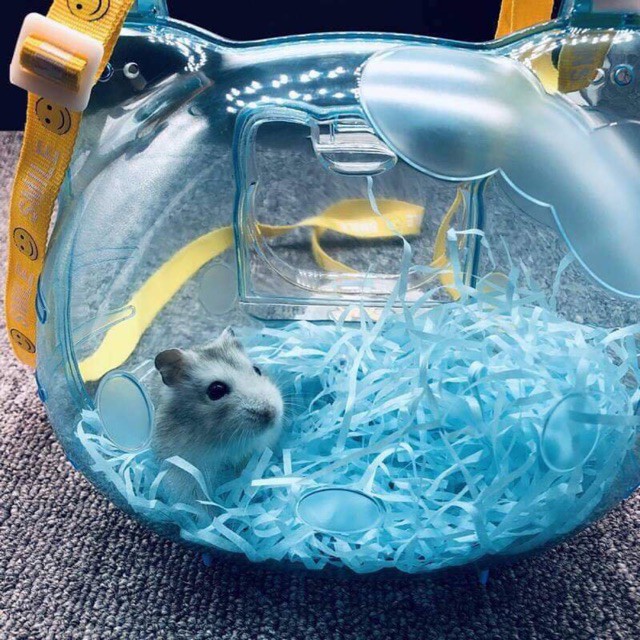 lồng xách tay kitty dành cho haster, đuôi mập