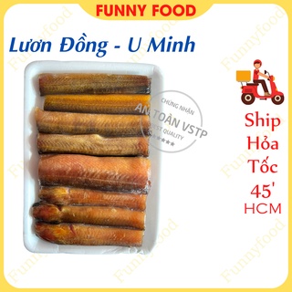 Lươn Đồng U Minh Lươn Đồng Cắt Khúc Làm Sạch Ship Hỏa Tốc HCM Funnyfood