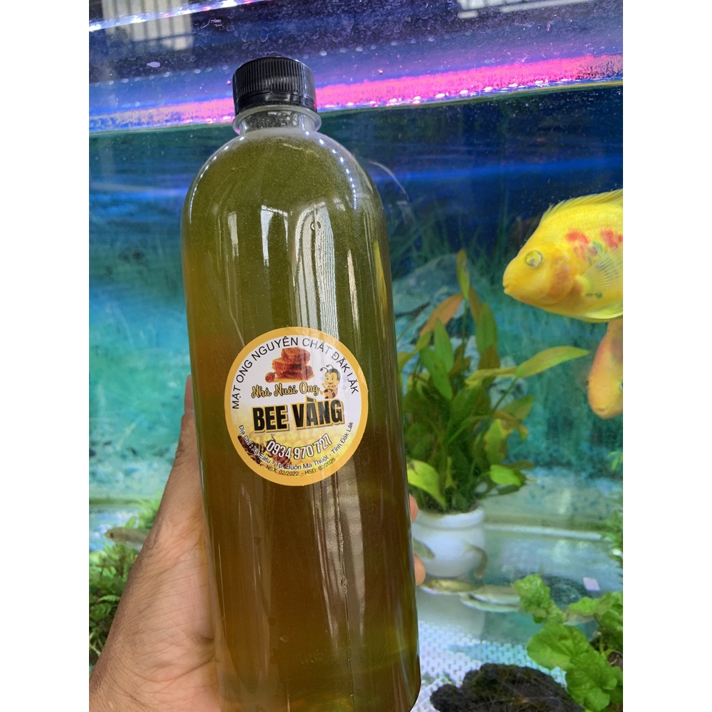 MẬT ONG BẠC HÀ-NGUYÊN CHẤT( 1 lít = 2 chai )Mật ong rừng hoa bạc hà nguyên chất CAO NGUYÊN -HÀ GIANG tăng cường sức khỏe