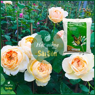 Phân Hữu Cơ Hà Lan FERTIPLUS 500g