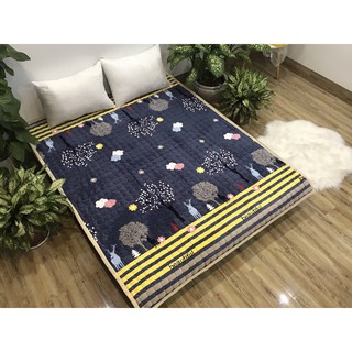 Sỉ Thảm nỉ trải giường hoa văn 2mx2m2 tại tp hcm mẫu 12
