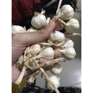 500gr TỎI LÝ SƠN CỦ SIZE TRUNG (ĐÃ HẾT SIZE BỰ)