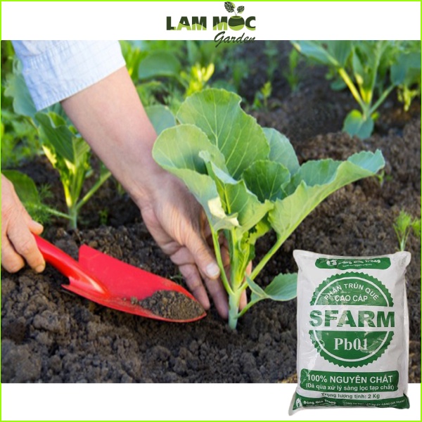Phân Trùn Quế Cao Cấp Nguyên Chất Sfarm 2 Ký - Trồng Rau Màu Và Hoa Kiểng
