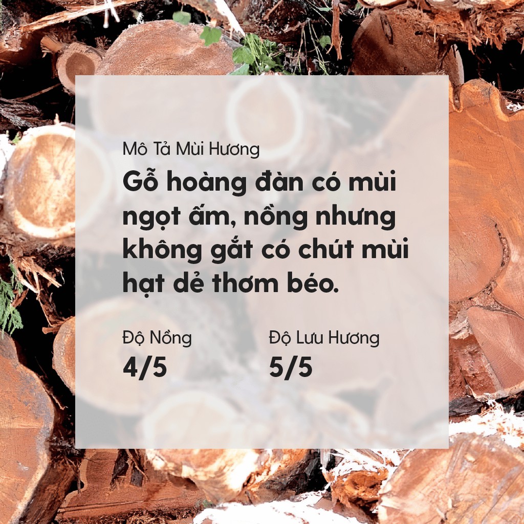 Tinh Dầu Tuyết Tùng (Hoàng Đàn) Organic Thiên Nhiên Nguyên Chất Đậm Đặc Xông Thơm Phòng, Làm Nến Thơm HENY GARDEN
