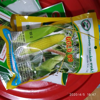 Hạt giống ngô ngọt lai f1 gold 99 gói 100g