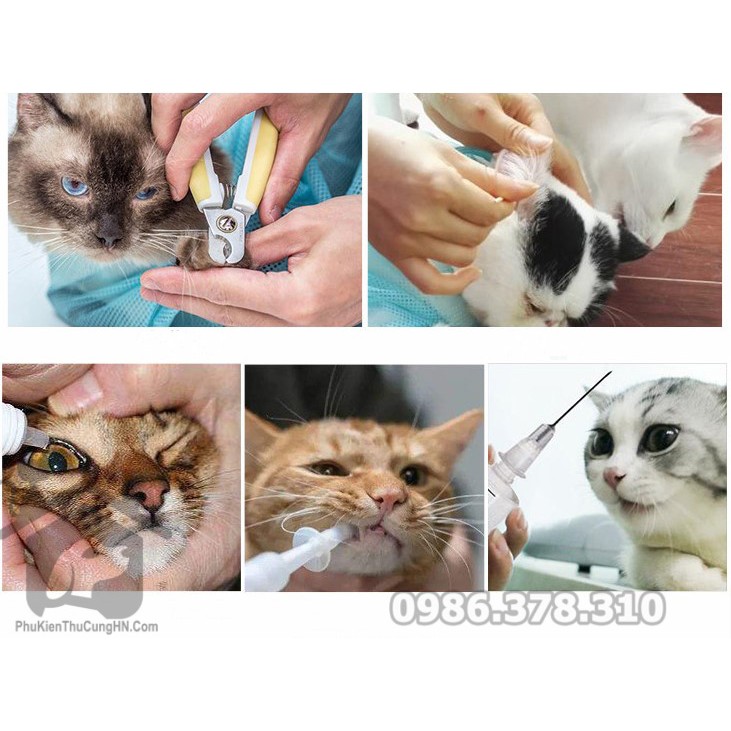 Túi lưới giữ mèo PET GROOMING BANG - Túi tắm mèo - Phụ kiện thú cưng Hà Nội