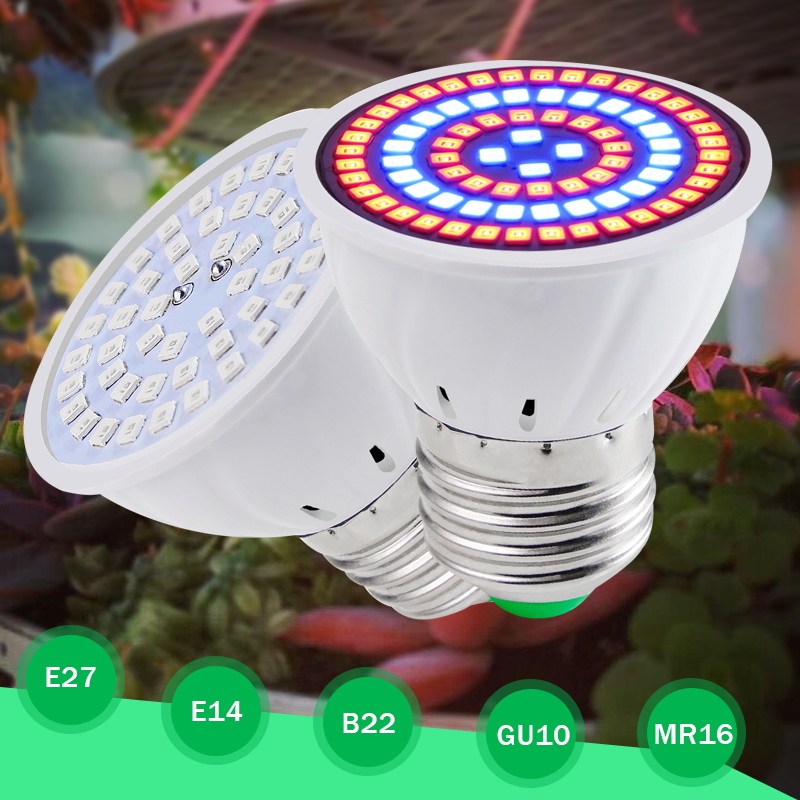 GBKOF Bóng đèn tăng trưởng thủy canh 80led Led B22 / E27 / E14 / GU10 / MR16 Bóng đèn Led phát triển đầy đủ Quang phổ 220V Nhà máy UV Cây hoa cây giống Đèn Phyto