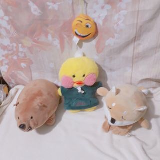 Gấu bông cháu dung