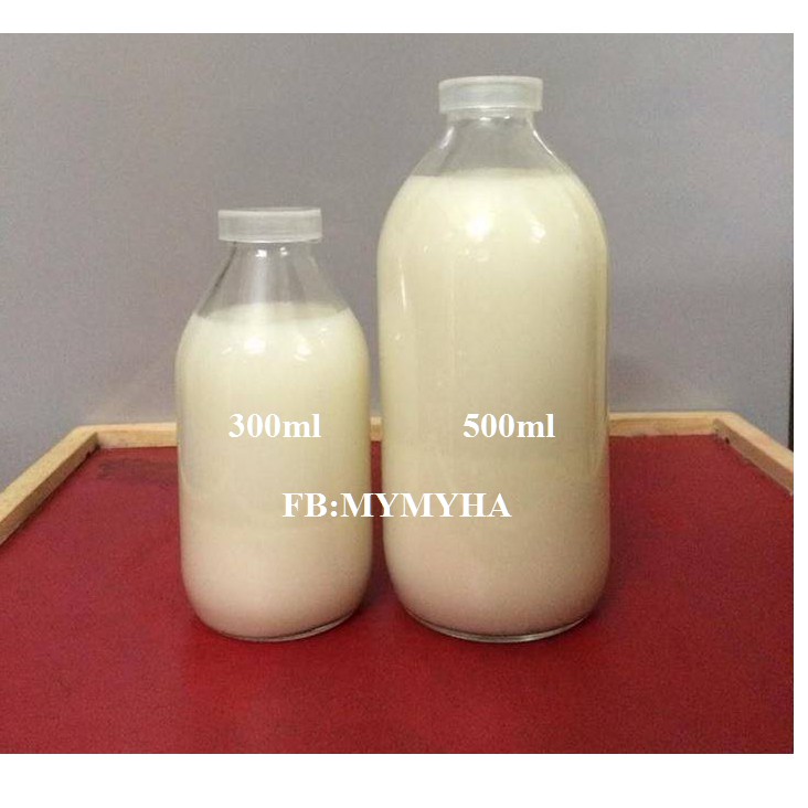 Lọ thủy tinh 500ml nút bần gỗ hoặc nhựa | BigBuy360 - bigbuy360.vn