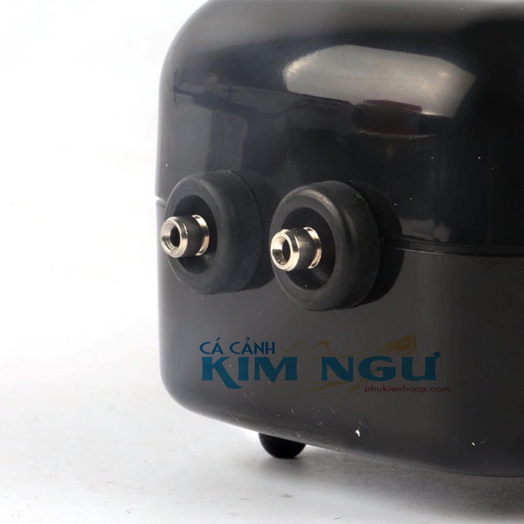 Máy Sủi Oxy Hồ Cá HAILEA ACO 5505