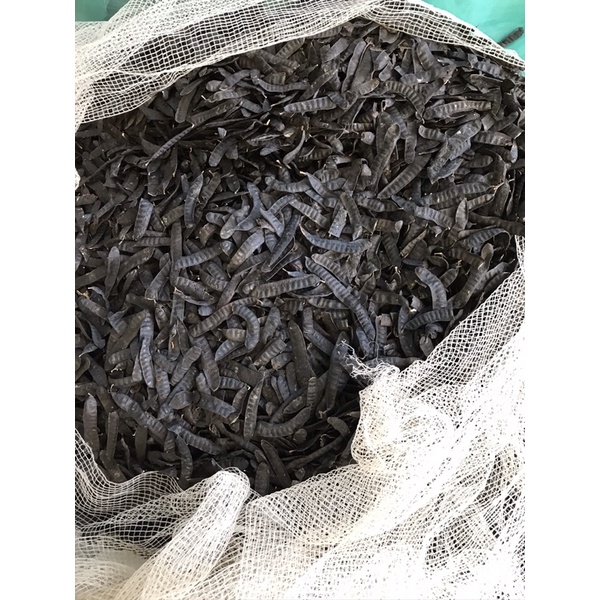 Bồ kết khô 1 kg( quả mẩy đẹp)