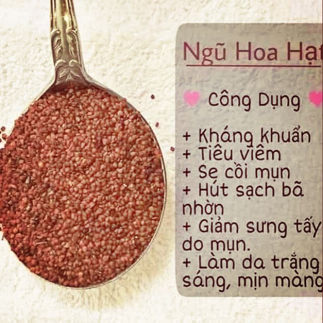 1kg Hạt ngũ hoa lớn ( hạt đình lịch)