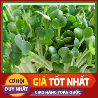 Hạt giống rau mầm Hướng Dương - rau ăn lá ngắn ngày