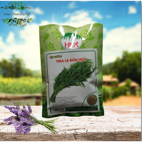 Hạt Giống Rau Thì Là HNX 20gr