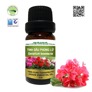 Tinh dầu Phong Lữ nguyên chất nhập khẩu chính hãng Ấn Độ