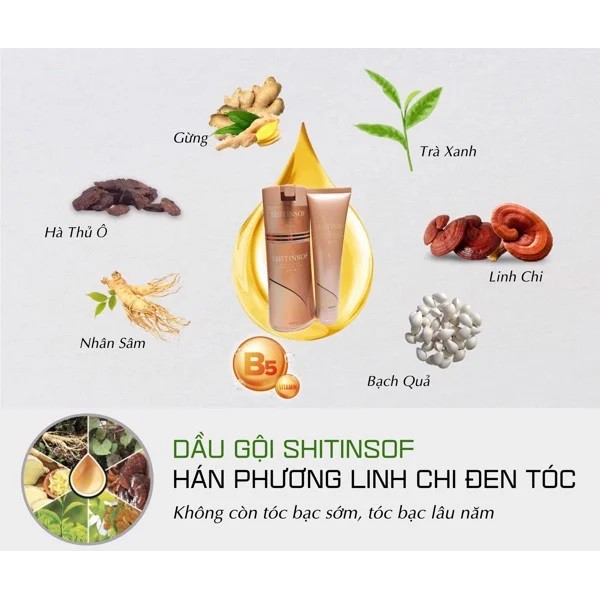 Dầu Gội SHITINSOF Hán Phương - Linh Chi (hộp 3 túi), dưỡng tóc, nhuộm đen, góp phần giúp bóng tóc, khỏe - Soleil shop