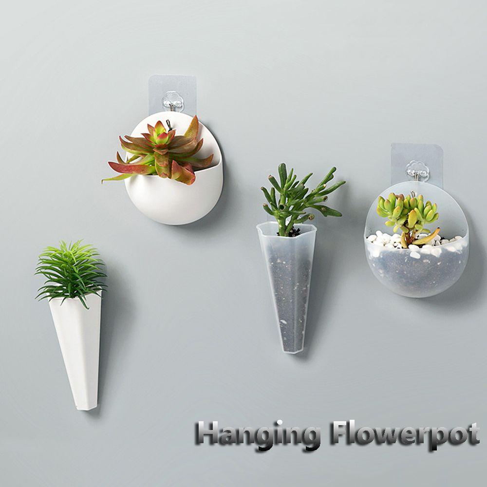 Chậu Trồng Cây Treo Tường Bằng Acrylic Kèm Giá Đỡ 1 Cái