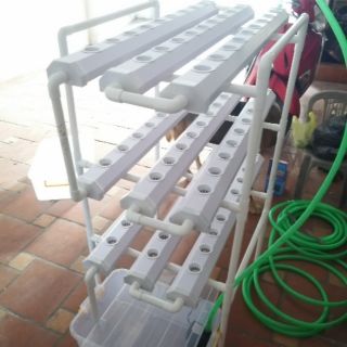 Giàn thủy canh 81 lỗ tiện dụng