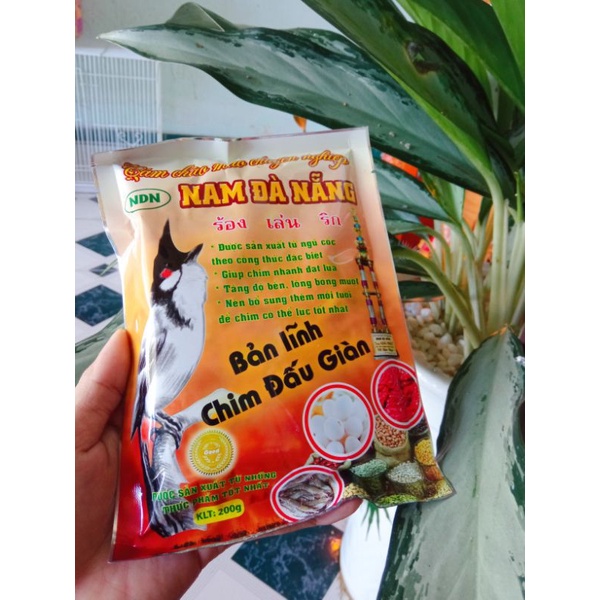 Cám Nam Đà Nẵng