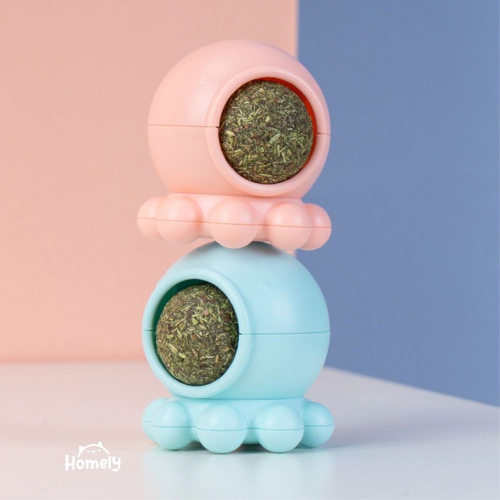 Catnip - cỏ bạc hà mèo