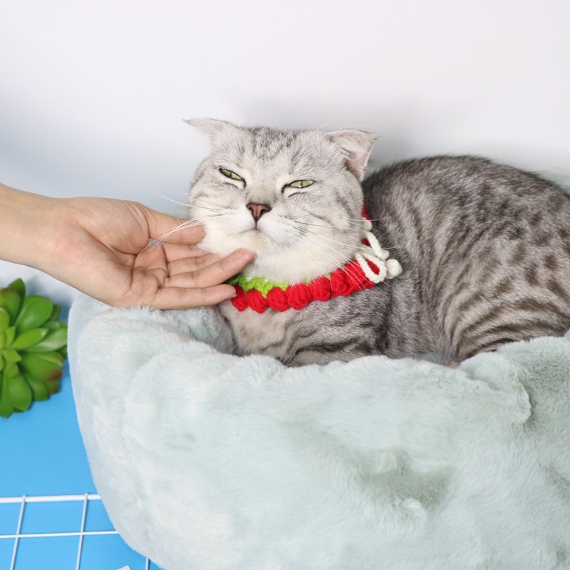 Ổ Nệm Cho Thú cưng