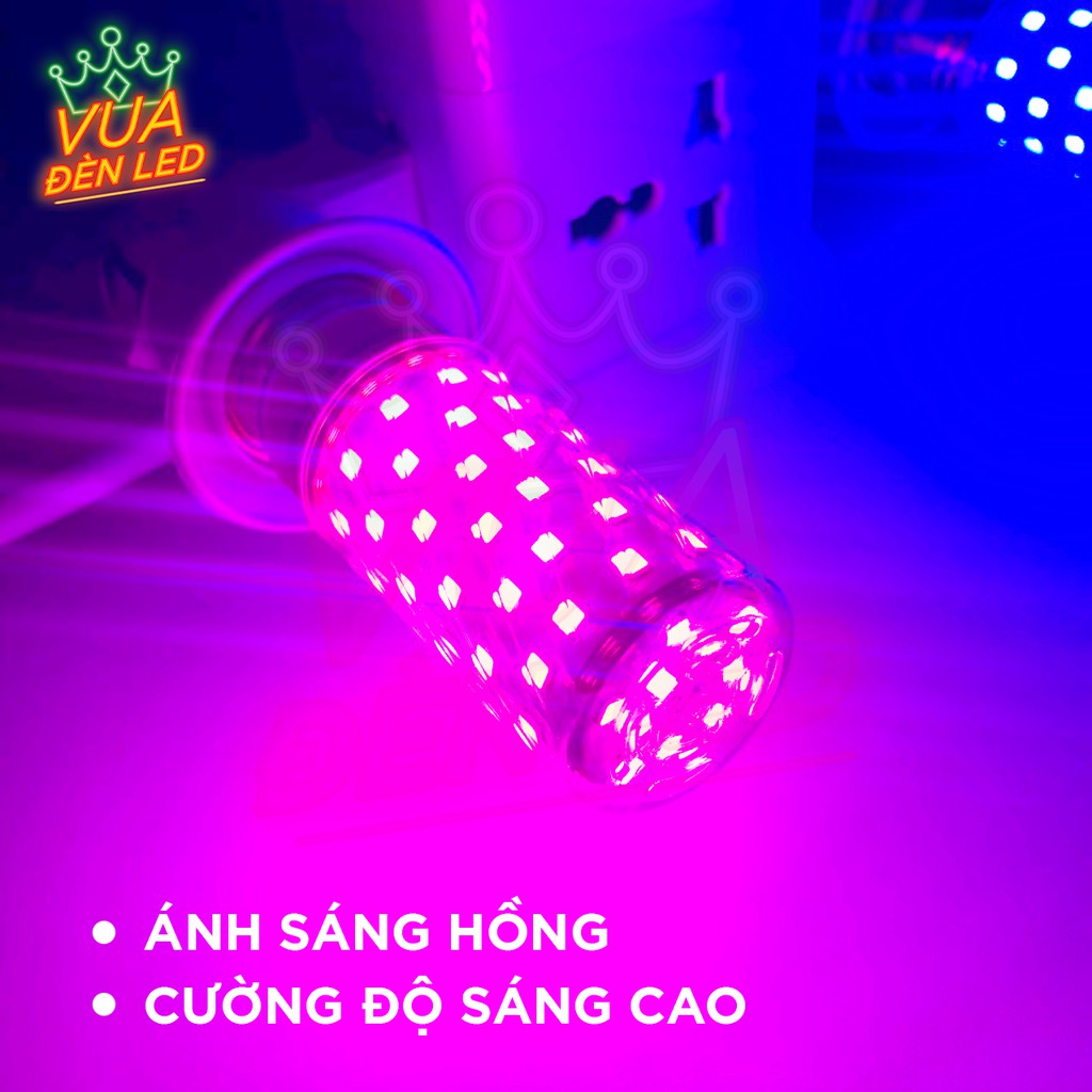 【Có sẵn】Đèn Led Tiktok neon trang trí, Có đui cắm trực tiếp , Màu Xanh Dương, Hồng